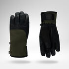Type R-Shell Dry Ski Gloves