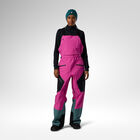 Women's Proclivity 3L Bib Ski Pants