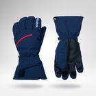 Men's Perf Ski Gloves R-Shell Thermal