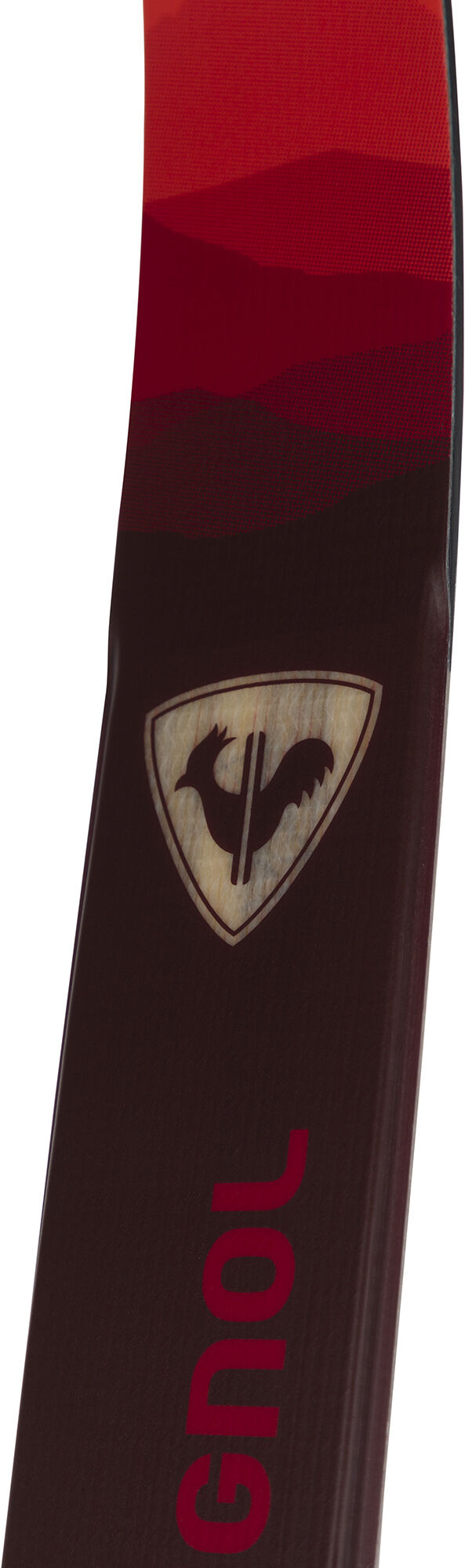 Unisex Nordic Skis EVO XT 55 POSITRACK | WSE to exclude | Rossignol
