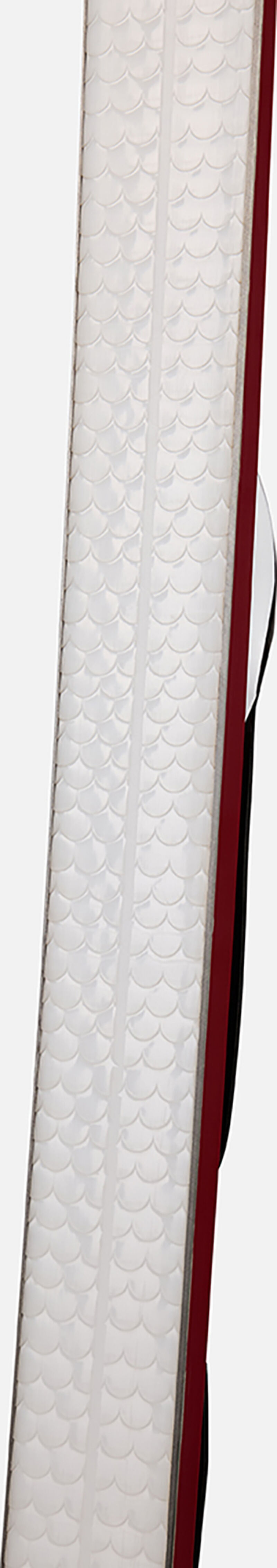 Rossignol Unisex Nordic Backcountry Skis Bc 80 Positrack multicolor