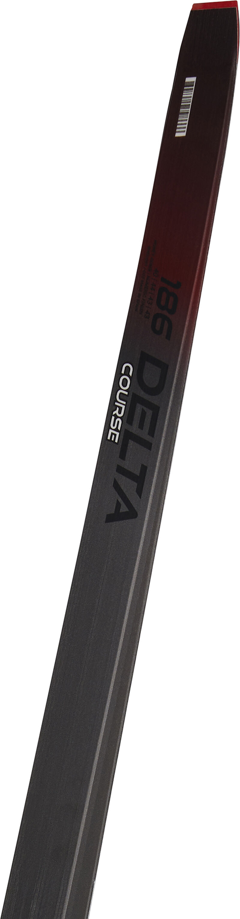 Rossignol DELTA COURSE SKATING multicolor