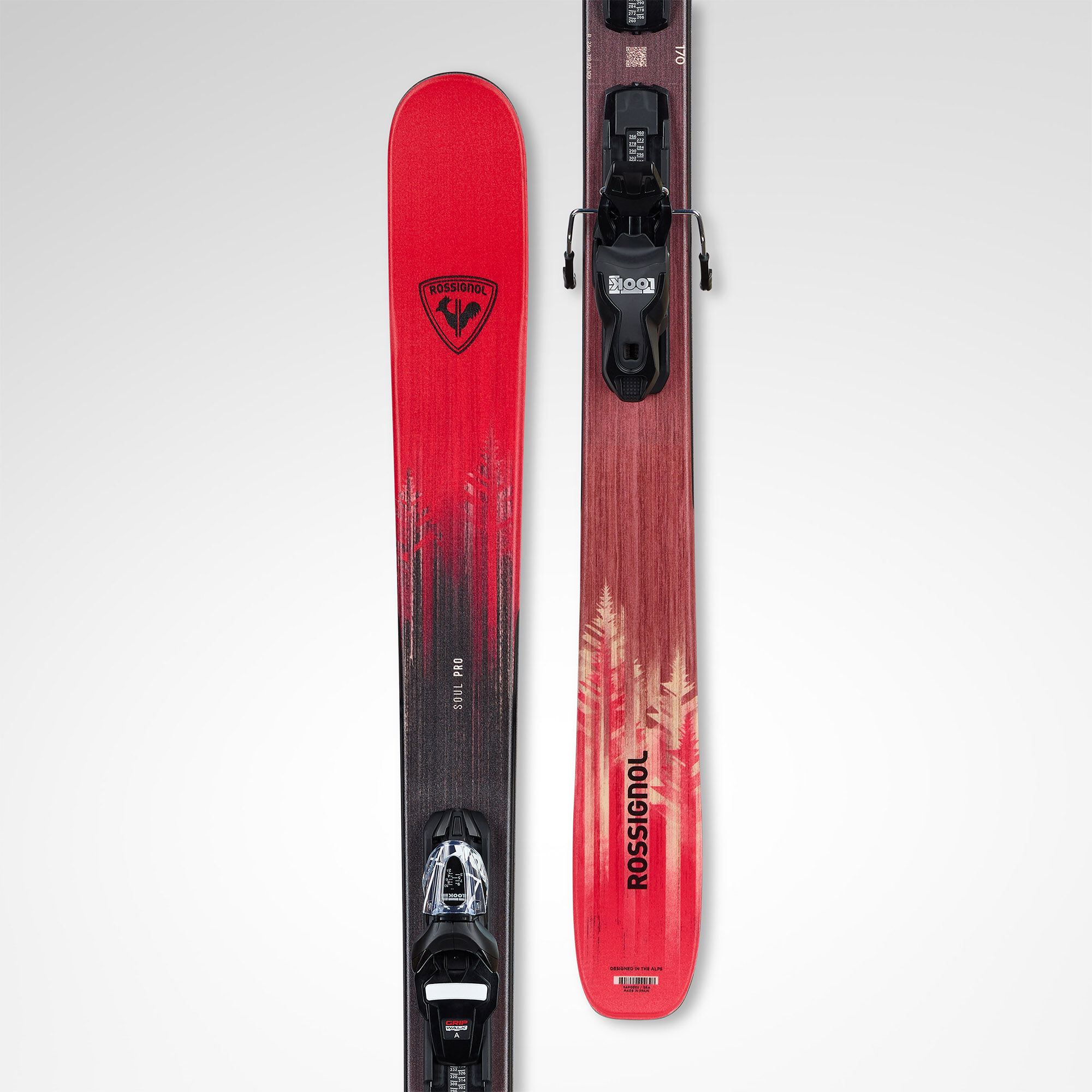 New Arrivals | Equipment | Rossignol