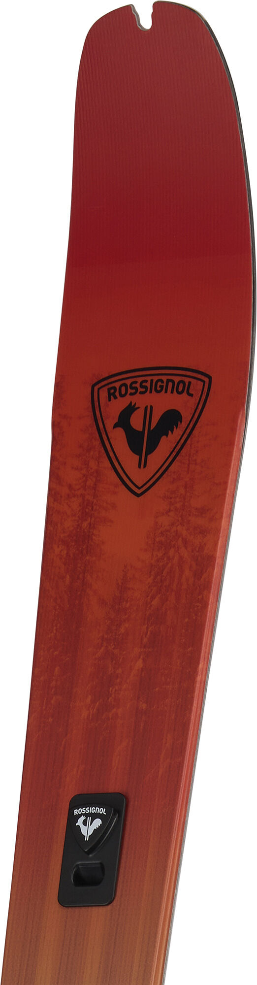 ROSSIGNOL ロシニョール XP 105Positrack 160cm Rossignol XP 105 Positrack Skis | SKATING | Rossignol
