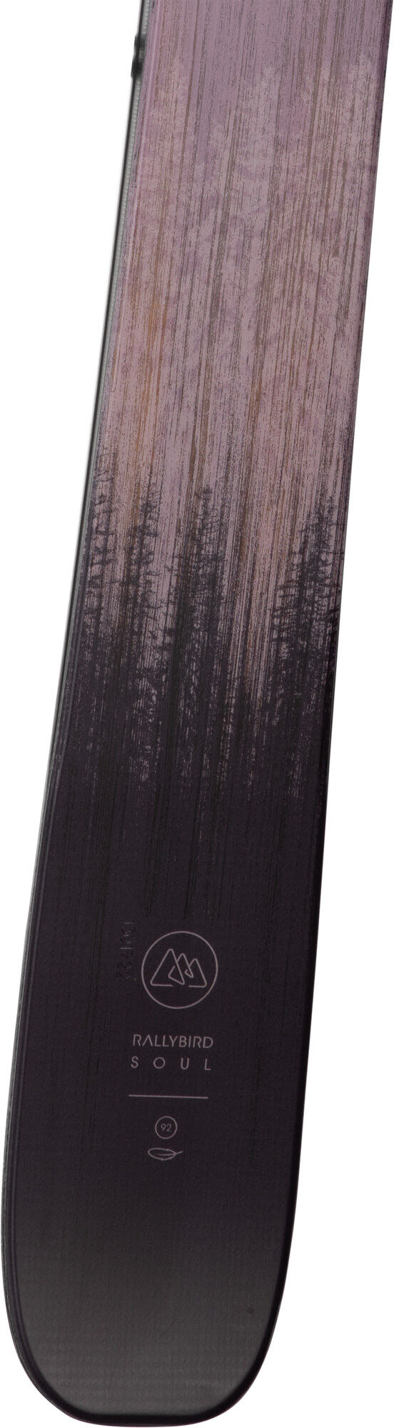 Rossignol Rallybird Soul Skis - Thumbnail 5