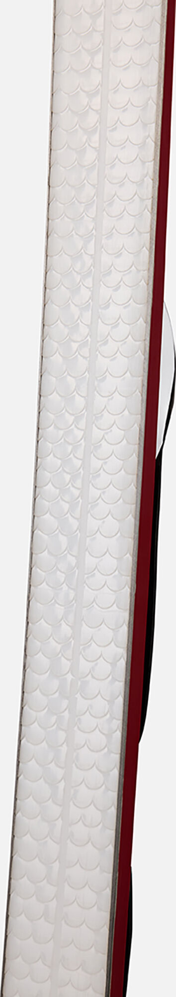 Unisex Nordic Backcountry Skis Bc 80 Positrack | BACKCOUNTRY