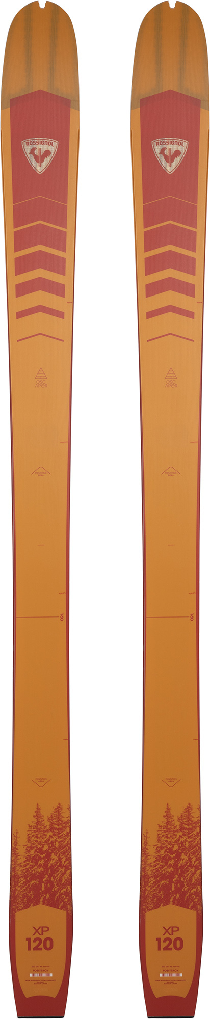 Rossignol Skis de fond Backcountry unisexe XP&nbsp;120 Positrack Multicolor