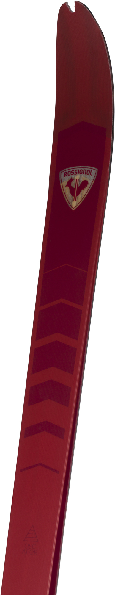 Rossignol Skis de fond Backcountry unisexe Bc 80 Positrack Multicolor